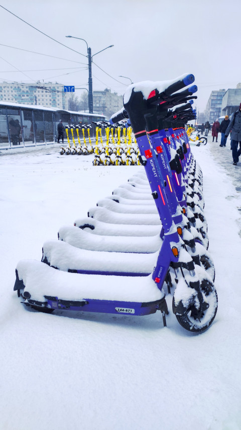 Ряды фиолетовых электросамокатов Юрент, покрытых снегом на городской улице