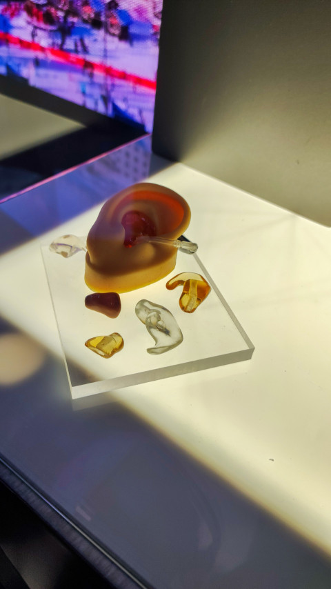 Модель уха с набором фотополимерных вкладышей