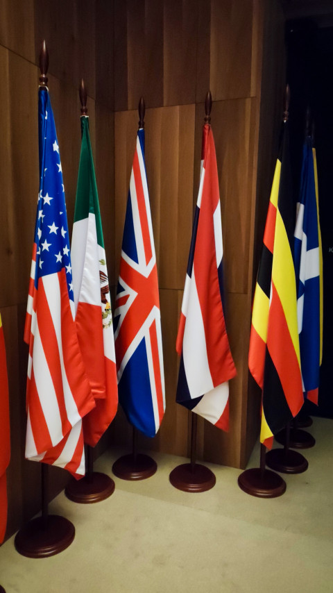 Ряд флагов стран-участниц в интерьере павильона «АТОМ»