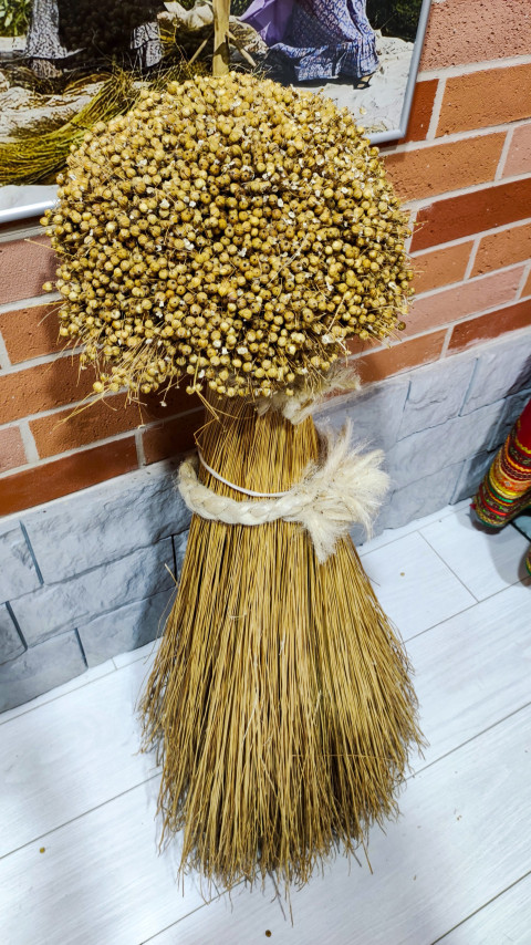 Сноп зрелого льна с коробочками в экспозиции льняной мануфактуры