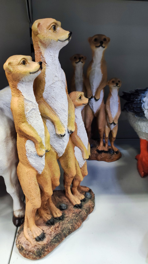 Фигурки сурикатов на витрине магазина