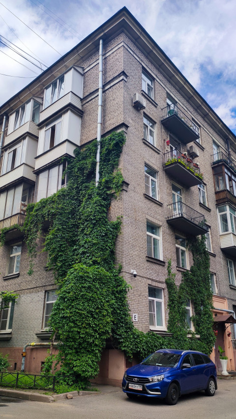 Угол кирпичного дома с плотным покровом плюща обыкновенного и балконами во дворе