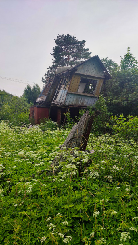Крупный план перекошенного дачного дома с разрушенной крышей и ограждением на заросшем участке