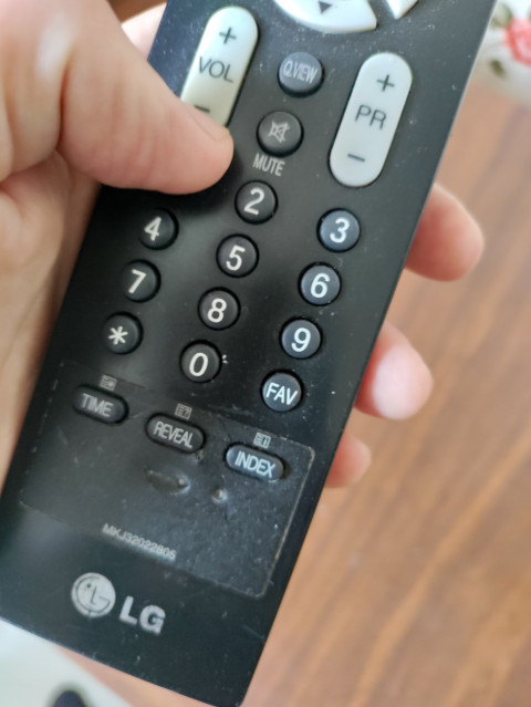 Пульт дистанционного управления LG в руке человека