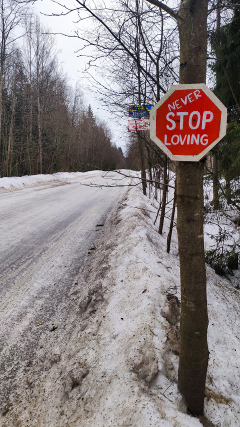 Лесная дорога зимой и знак с надписью «Never Stop Loving»